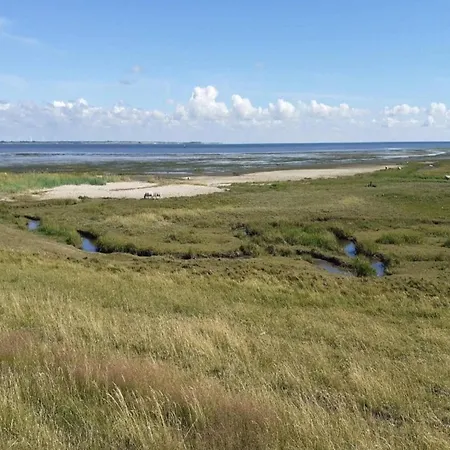 Lägenhet 6 Person In Romo