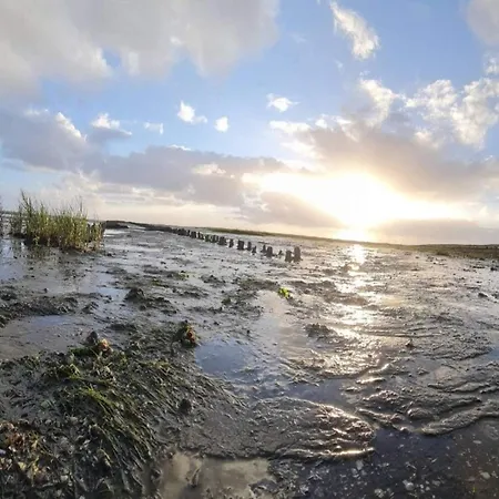 6 Person In Romo Appartamento *