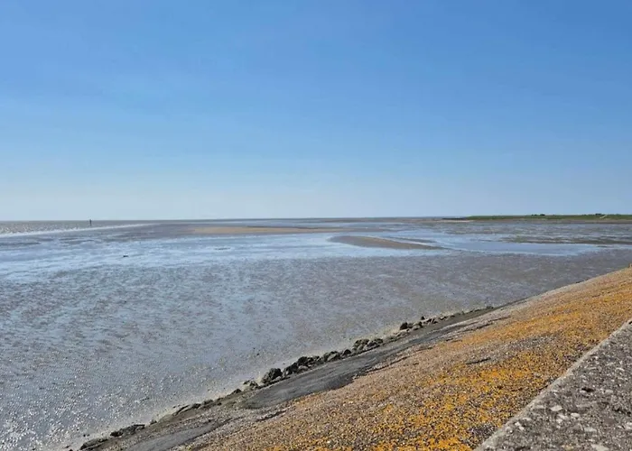 6 Person In Romo Apartment *