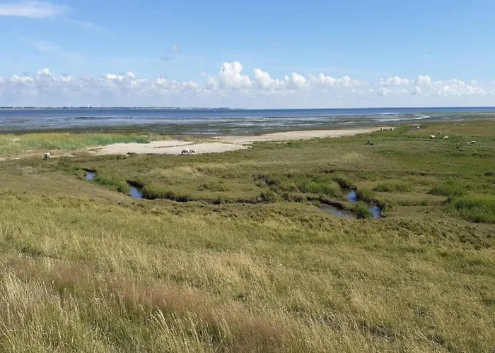 Lägenhet 6 Person In Romo