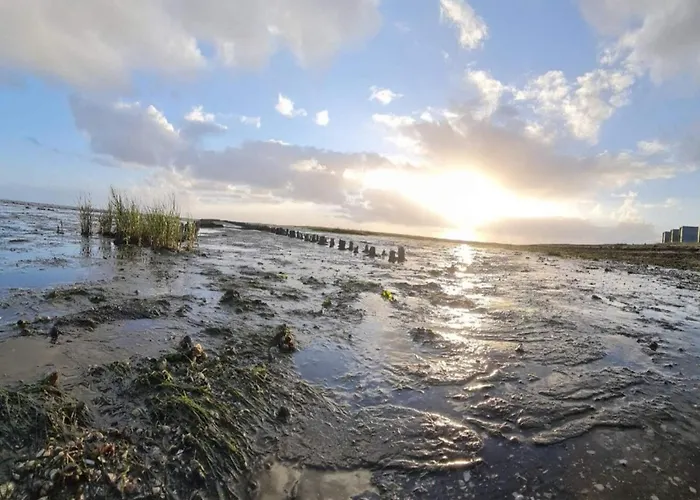 6 Person In Romo Lägenhet *